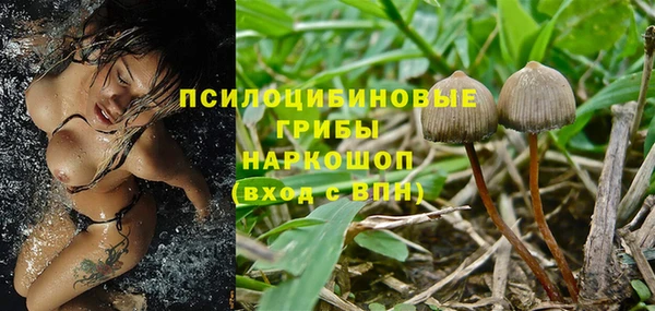 а пвп мука Аркадак